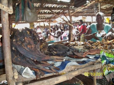 Catherine, a microfinance beneficiary